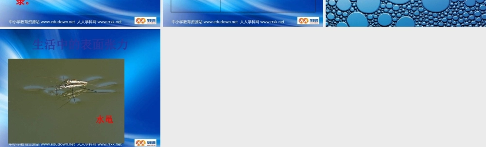 青岛小学科学三上《17 水面的秘密》PPT课件 (2)【加微信公众号 jiaoxuewuyou 九折优惠 qq 1119139686】.ppt