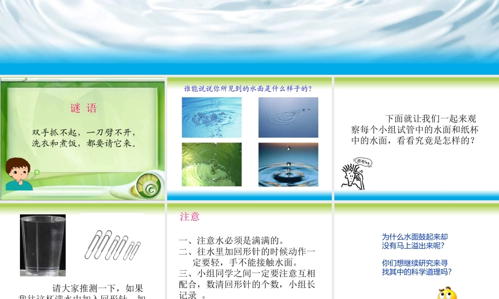 青岛小学科学三上《17 水面的秘密》PPT课件 (9)【加微信公众号 jiaoxuewuyou 九折优惠 qq 1119139686】.ppt