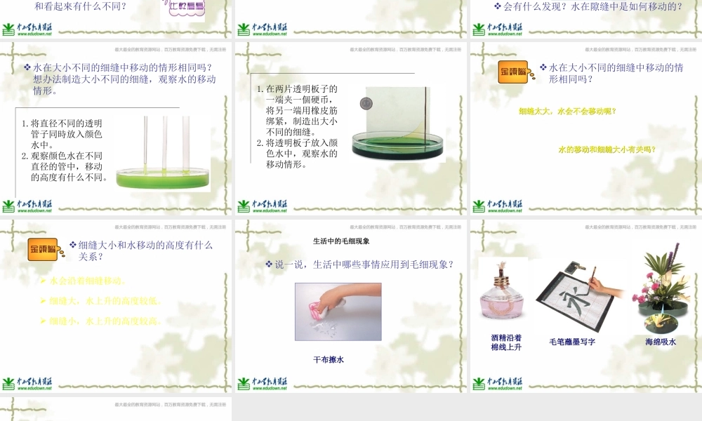 青岛小学科学三上《18 水往高处走》PPT课件 (1)【加微信公众号 jiaoxuewuyou 九折优惠 qq 1119139686】.ppt