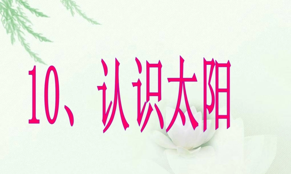 青岛小学科学三下《7 认识太阳》PPT课件 (1)【加微信公众号 jiaoxuewuyou 九折优惠 qq 1119139686】.ppt