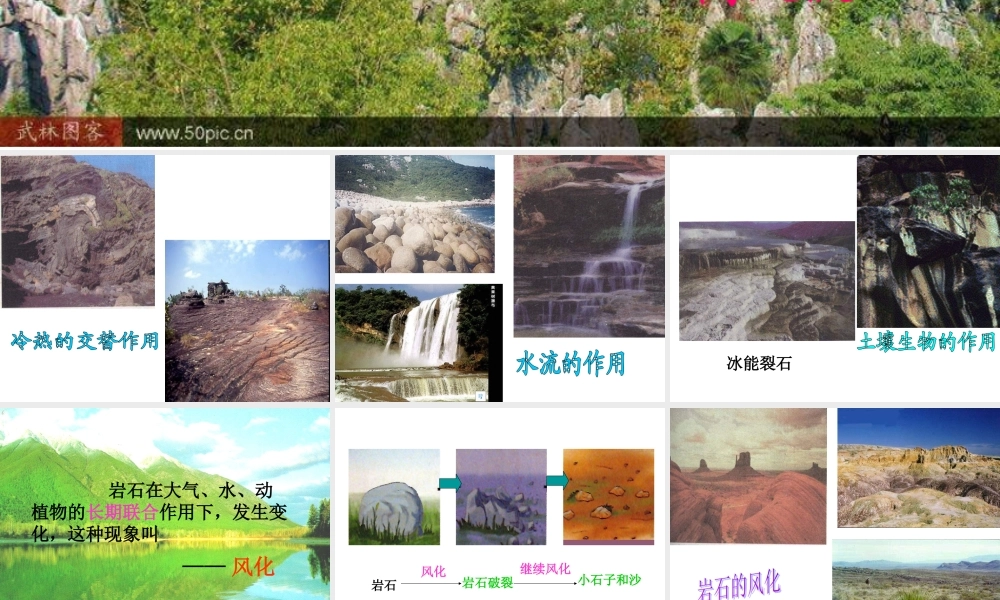 青岛小学科学三下《10 土壤里有什么》PPT课件 (2)【加微信公众号 jiaoxuewuyou 九折优惠 qq 1119139686】.ppt