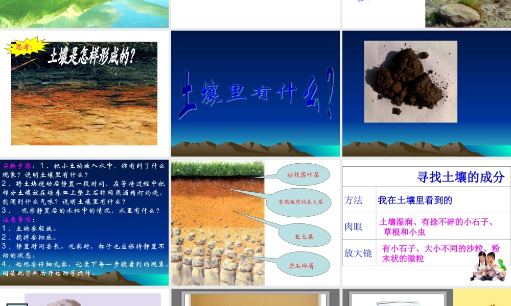 青岛小学科学三下《10 土壤里有什么》PPT课件 (2)【加微信公众号 jiaoxuewuyou 九折优惠 qq 1119139686】.ppt
