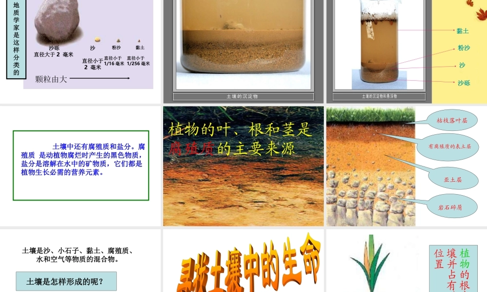 青岛小学科学三下《10 土壤里有什么》PPT课件 (2)【加微信公众号 jiaoxuewuyou 九折优惠 qq 1119139686】.ppt