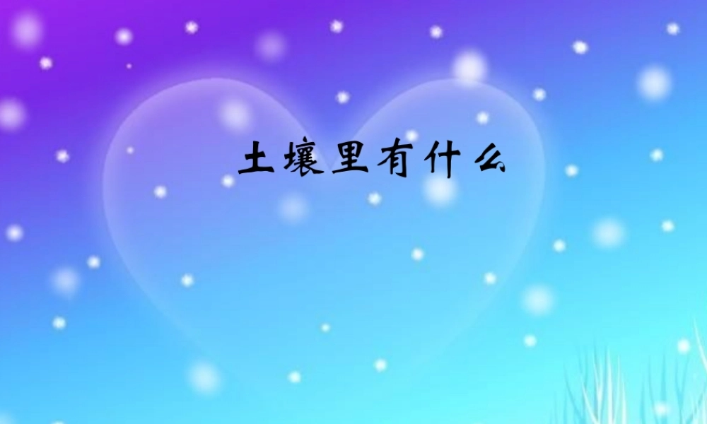 青岛小学科学三下《10 土壤里有什么》PPT课件 (3)【加微信公众号 jiaoxuewuyou 九折优惠 qq 1119139686】.ppt