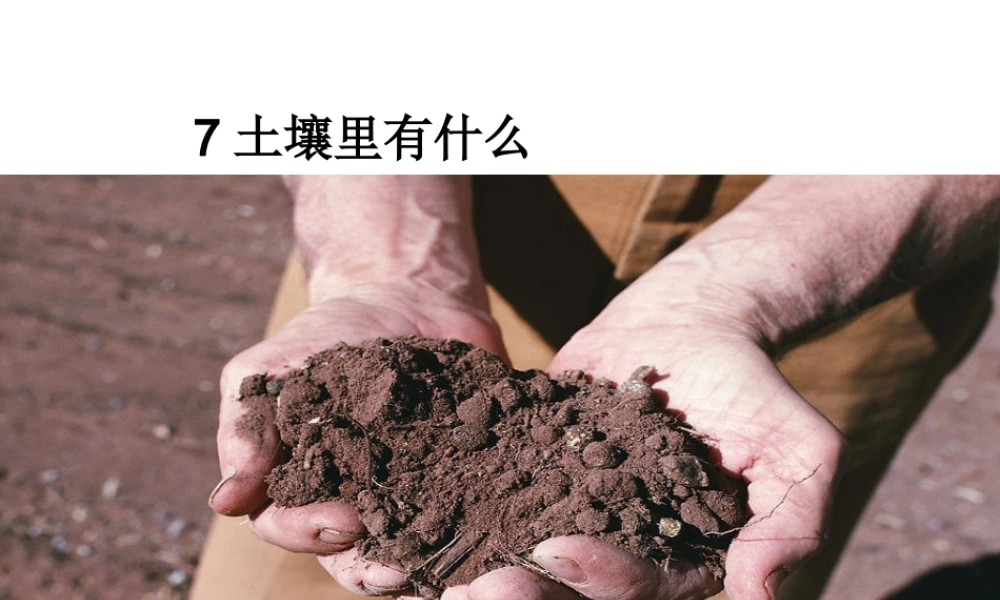 青岛小学科学三下《10 土壤里有什么》PPT课件 (1)【加微信公众号 jiaoxuewuyou 九折优惠 qq 1119139686】.ppt