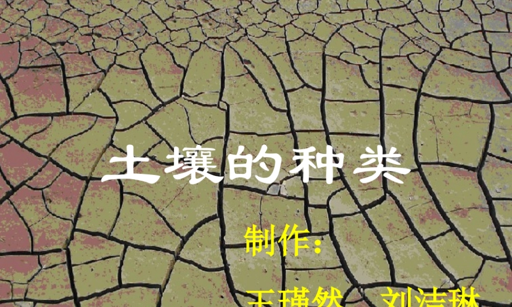 青岛小学科学三下《11 土壤的种类 》PPT课件 (1)【加微信公众号 jiaoxuewuyou 九折优惠 qq 1119139686】.ppt