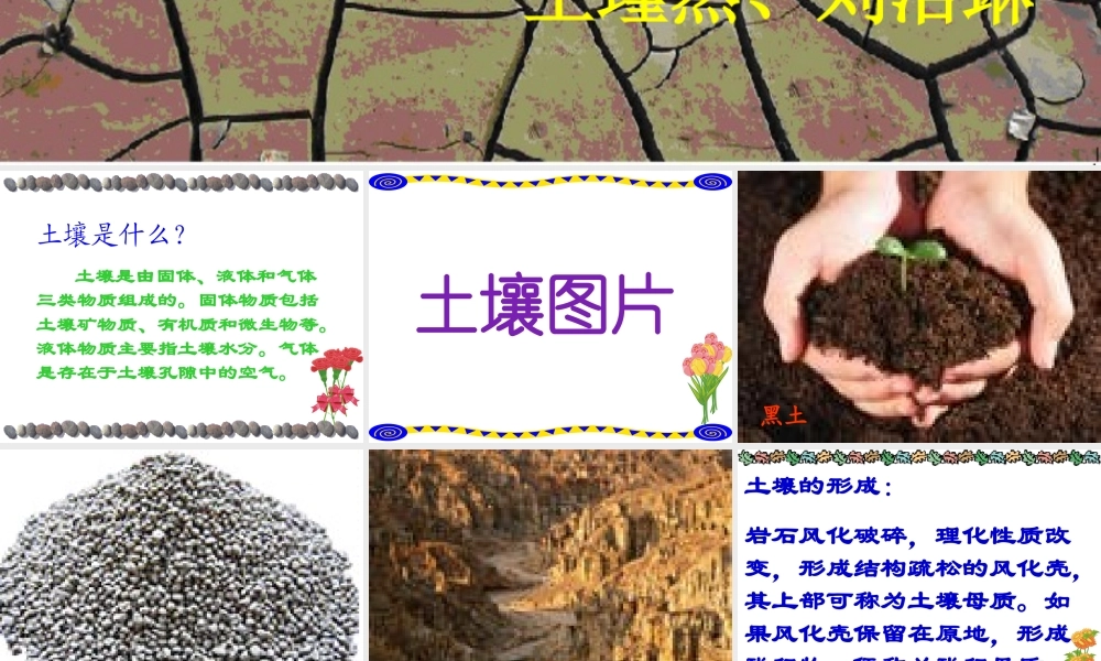 青岛小学科学三下《11 土壤的种类 》PPT课件 (1)【加微信公众号 jiaoxuewuyou 九折优惠 qq 1119139686】.ppt