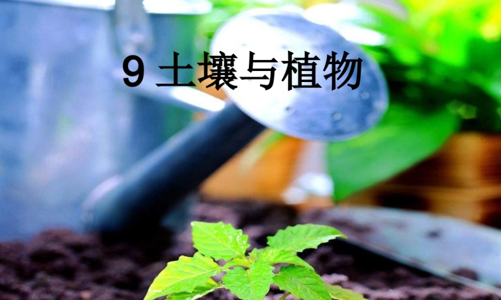 青岛小学科学三下《12 土壤与植物》PPT课件 (1)【加微信公众号 jiaoxuewuyou 九折优惠 qq 1119139686】.ppt