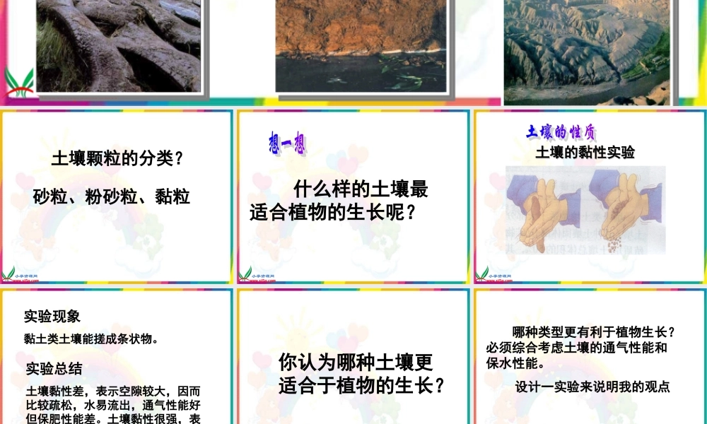 青岛小学科学三下《11 土壤的种类 》PPT课件 (2)【加微信公众号 jiaoxuewuyou 九折优惠 qq 1119139686】.ppt