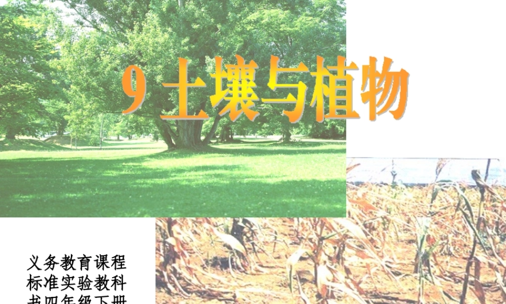 青岛小学科学三下《12 土壤与植物》PPT课件 (2)【加微信公众号 jiaoxuewuyou 九折优惠 qq 1119139686】.ppt