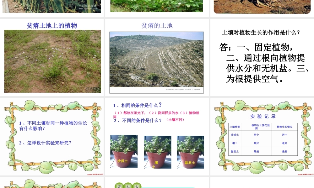 青岛小学科学三下《12 土壤与植物》PPT课件 (2)【加微信公众号 jiaoxuewuyou 九折优惠 qq 1119139686】.ppt