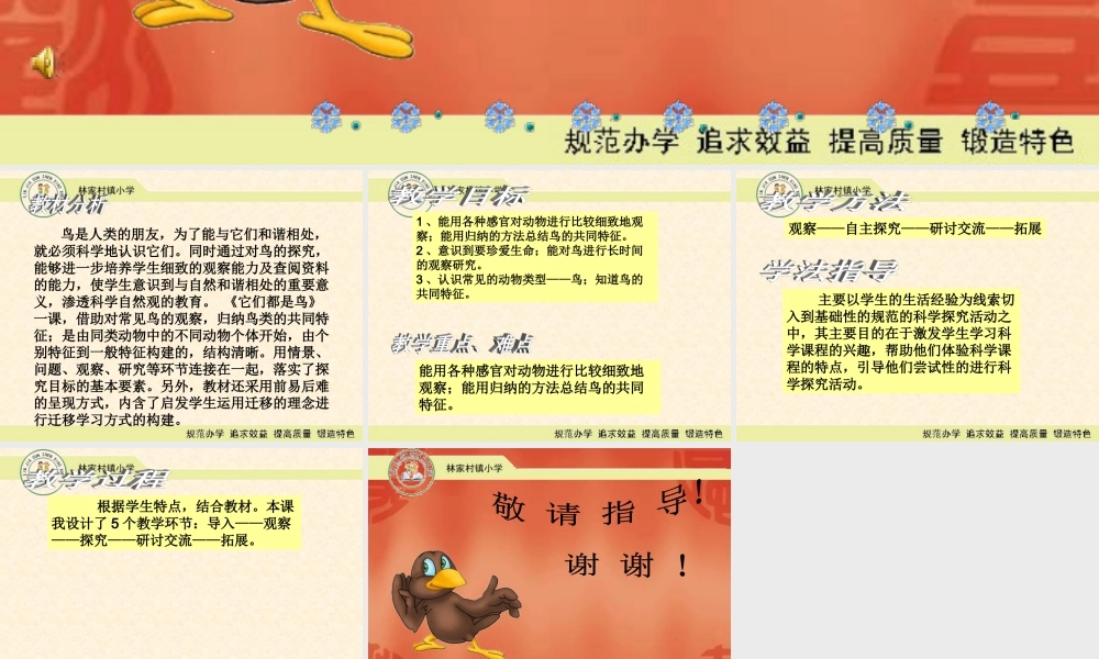 青岛小学科学三下《16 它们都是鸟》PPT课件 (1)【加微信公众号 jiaoxuewuyou 九折优惠 qq 1119139686】.ppt