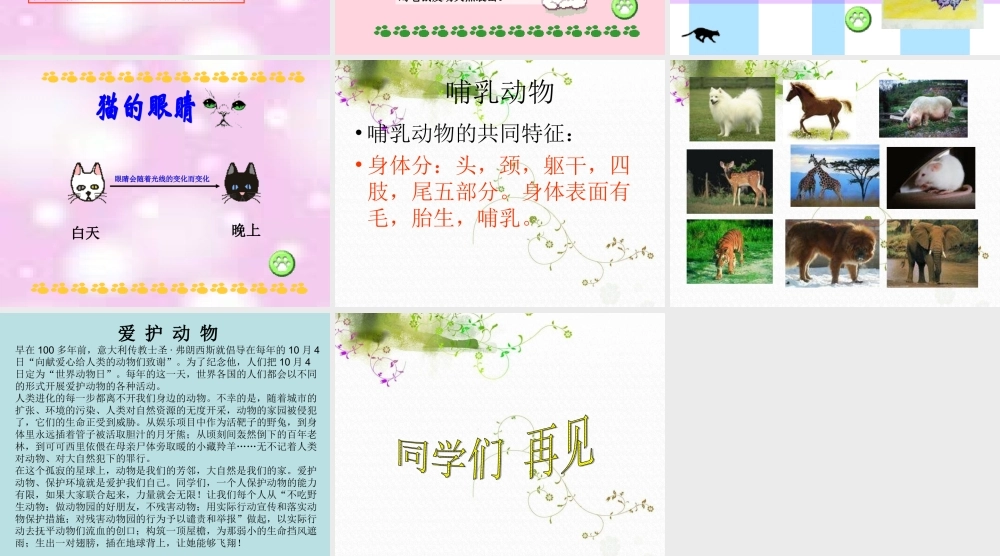 青岛小学科学三下《17 猫和兔》PPT课件 (1)【加微信公众号 jiaoxuewuyou 九折优惠 qq 1119139686】.ppt