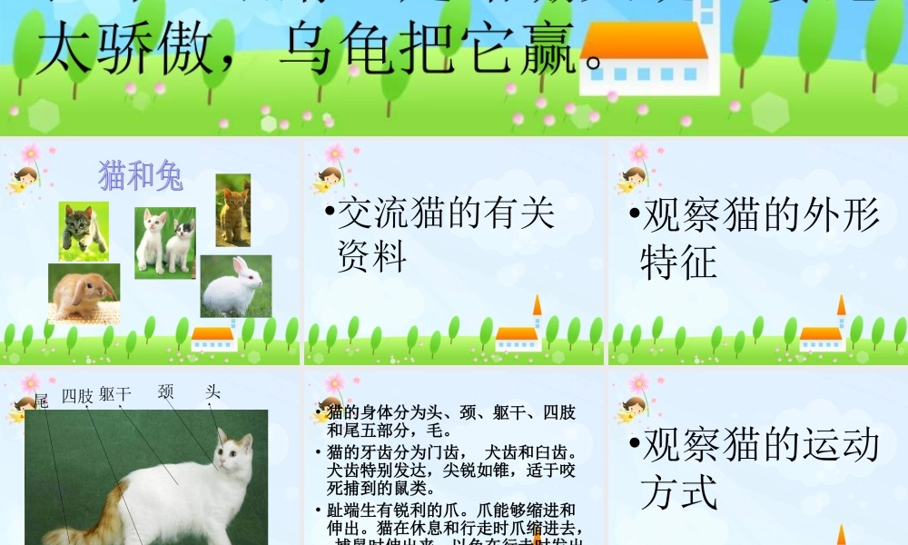 青岛小学科学三下《17 猫和兔》PPT课件 (4)【加微信公众号 jiaoxuewuyou 九折优惠 qq 1119139686】.ppt