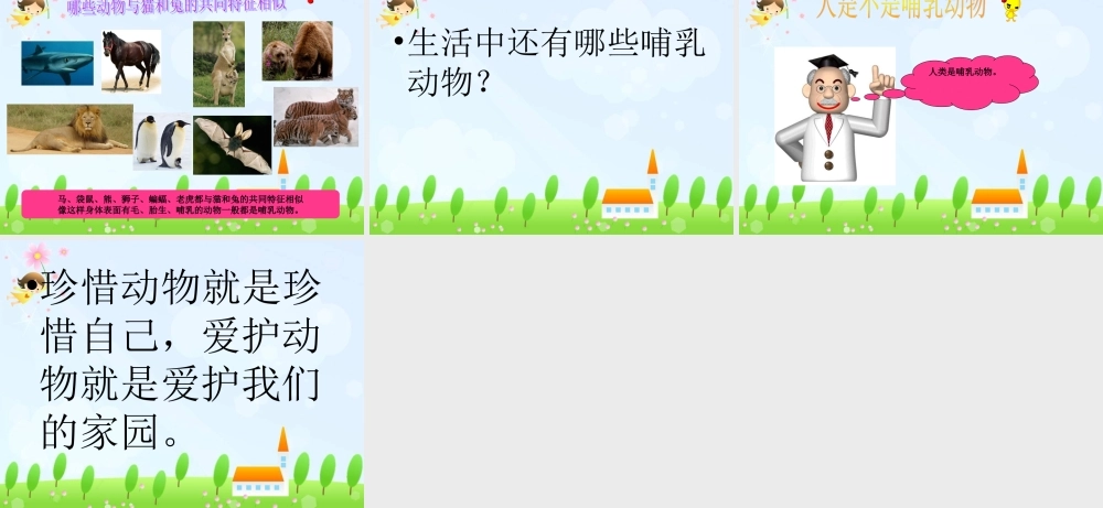 青岛小学科学三下《17 猫和兔》PPT课件 (4)【加微信公众号 jiaoxuewuyou 九折优惠 qq 1119139686】.ppt