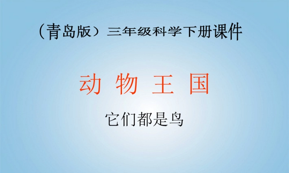 青岛小学科学三下《16 它们都是鸟》PPT课件 (6)【加微信公众号 jiaoxuewuyou 九折优惠 qq 1119139686】.ppt