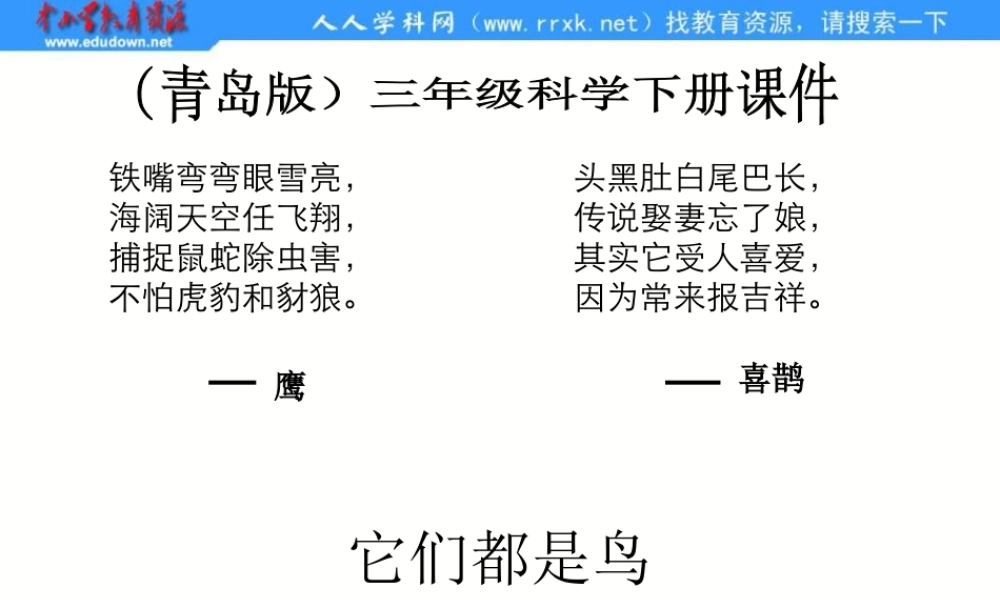 青岛小学科学三下《16 它们都是鸟》PPT课件 (2)【加微信公众号 jiaoxuewuyou 九折优惠 qq 1119139686】.ppt
