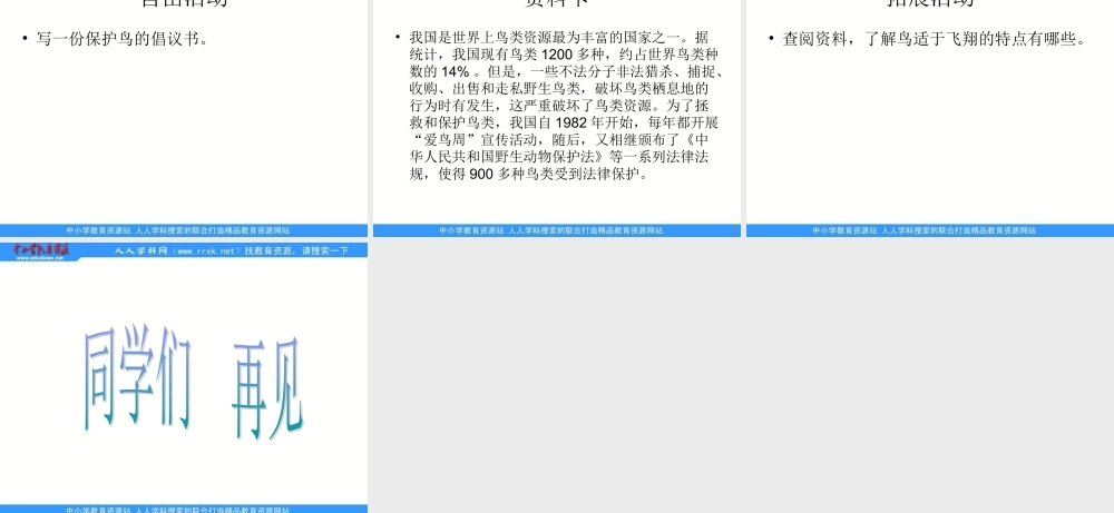 青岛小学科学三下《16 它们都是鸟》PPT课件 (2)【加微信公众号 jiaoxuewuyou 九折优惠 qq 1119139686】.ppt