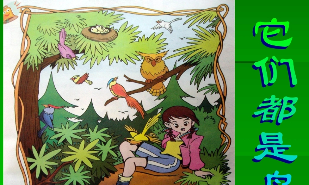 青岛小学科学三下《16 它们都是鸟》PPT课件 (5)【加微信公众号 jiaoxuewuyou 九折优惠 qq 1119139686】.ppt