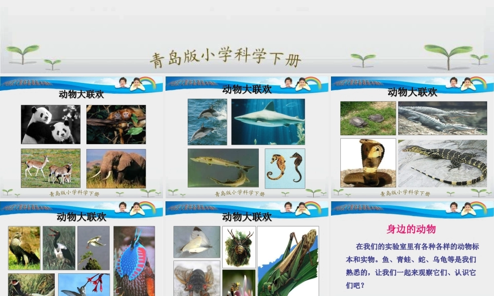 青岛小学科学三下《18 多样的动物》PPT课件 (1)【加微信公众号 jiaoxuewuyou 九折优惠 qq 1119139686】.ppt