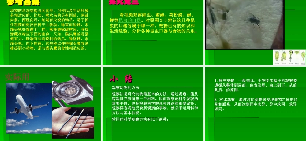 青岛小学科学三下《18 多样的动物》PPT课件 (2)【加微信公众号 jiaoxuewuyou 九折优惠 qq 1119139686】.ppt