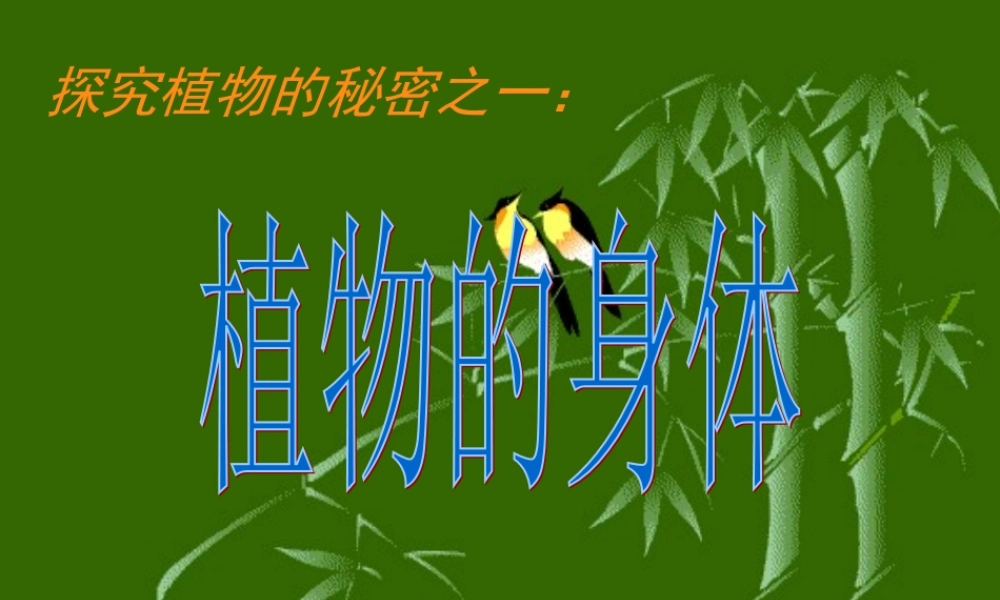 青岛小学科学四上《1 植物的身体》PPT课件 (2)【加微信公众号 jiaoxuewuyou 九折优惠 qq 1119139686】.ppt