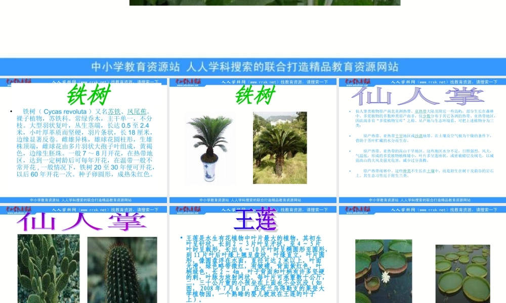 青岛小学科学四上《1 植物的身体》PPT课件 (3)【加微信公众号 jiaoxuewuyou 九折优惠 qq 1119139686】.ppt
