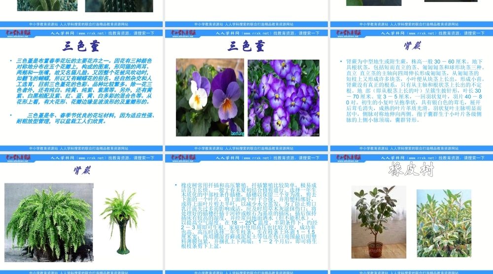 青岛小学科学四上《1 植物的身体》PPT课件 (3)【加微信公众号 jiaoxuewuyou 九折优惠 qq 1119139686】.ppt