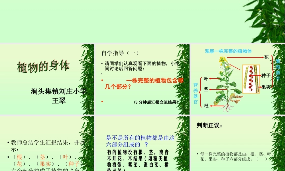 青岛小学科学四上《1 植物的身体》PPT课件 (1)【加微信公众号 jiaoxuewuyou 九折优惠 qq 1119139686】.ppt