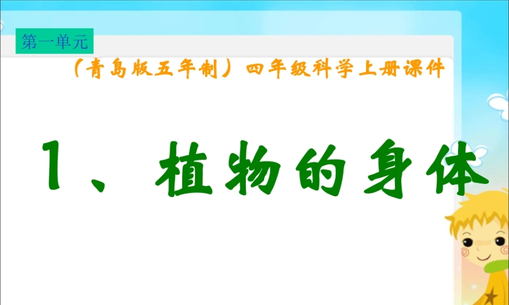 青岛小学科学四上《1 植物的身体》PPT课件 (5)【加微信公众号 jiaoxuewuyou 九折优惠 qq 1119139686】.ppt