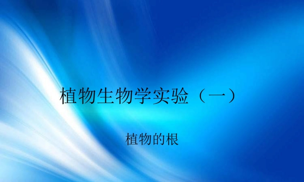 青岛小学科学四上《2 植物的根》PPT课件 (3)【加微信公众号 jiaoxuewuyou 九折优惠 qq 1119139686】.ppt