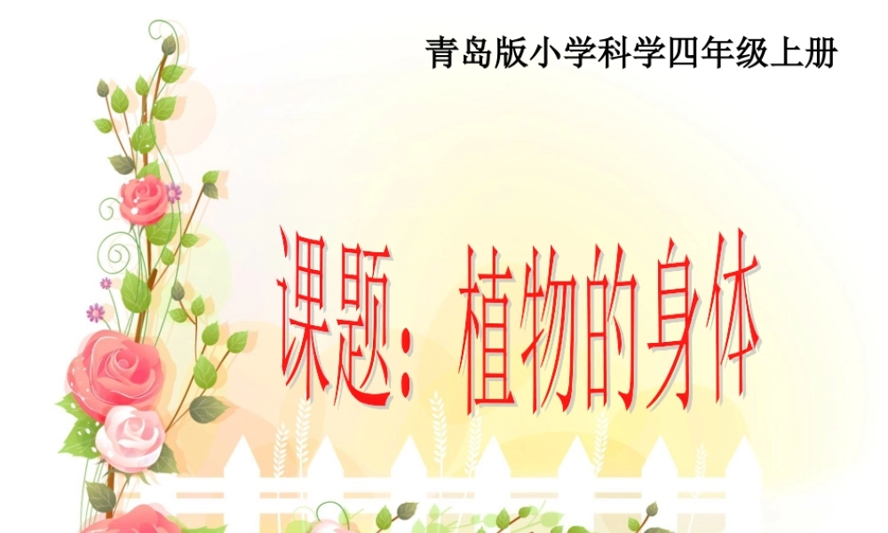 青岛小学科学四上《1 植物的身体》PPT课件 (9)【加微信公众号 jiaoxuewuyou 九折优惠 qq 1119139686】.ppt