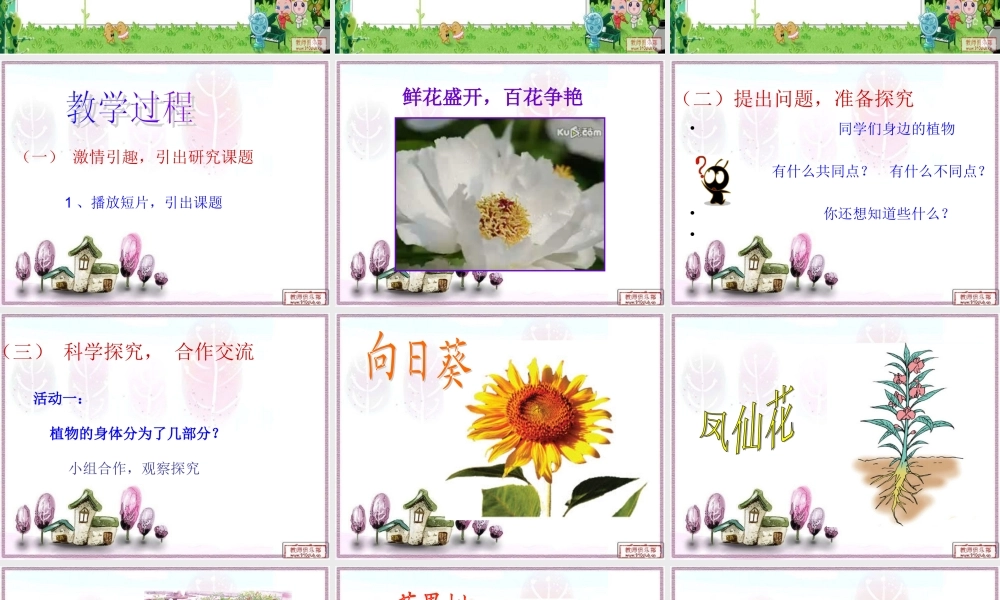 青岛小学科学四上《1 植物的身体》PPT课件 (9)【加微信公众号 jiaoxuewuyou 九折优惠 qq 1119139686】.ppt