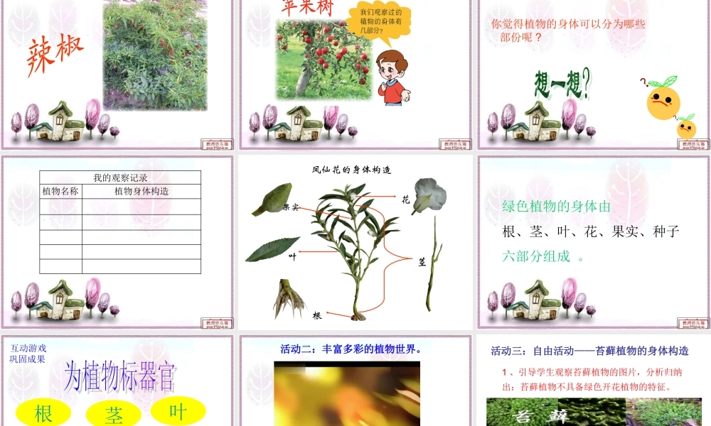 青岛小学科学四上《1 植物的身体》PPT课件 (9)【加微信公众号 jiaoxuewuyou 九折优惠 qq 1119139686】.ppt