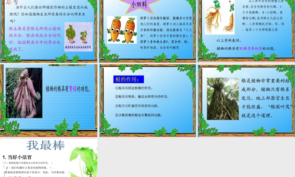 青岛小学科学四上《2 植物的根》PPT课件 (7)【加微信公众号 jiaoxuewuyou 九折优惠 qq 1119139686】.ppt