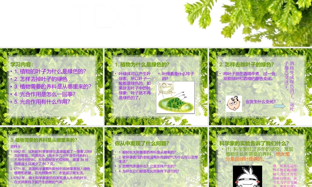 青岛小学科学四上《3 植物的叶》PPT课件 (8)【加微信公众号 jiaoxuewuyou 九折优惠 qq 1119139686】.ppt