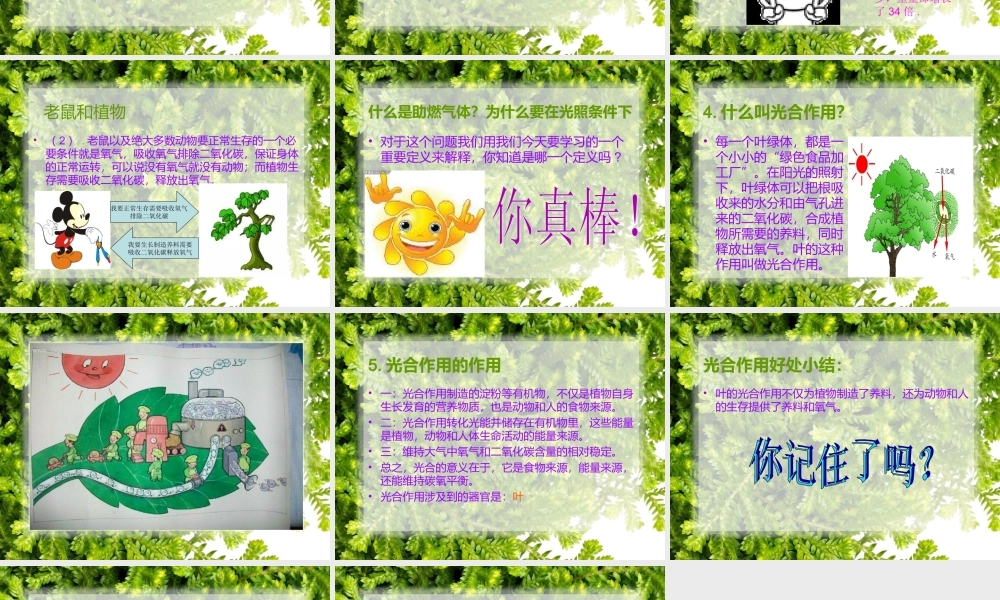 青岛小学科学四上《3 植物的叶》PPT课件 (8)【加微信公众号 jiaoxuewuyou 九折优惠 qq 1119139686】.ppt