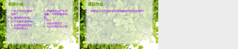 青岛小学科学四上《3 植物的叶》PPT课件 (8)【加微信公众号 jiaoxuewuyou 九折优惠 qq 1119139686】.ppt