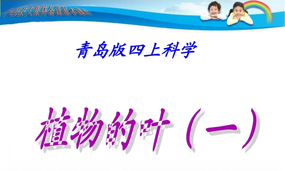 青岛小学科学四上《3 植物的叶》PPT课件 (1)【加微信公众号 jiaoxuewuyou 九折优惠 qq 1119139686】.ppt