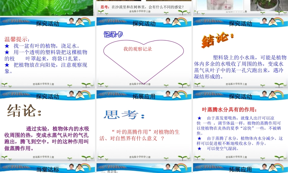 青岛小学科学四上《3 植物的叶》PPT课件 (1)【加微信公众号 jiaoxuewuyou 九折优惠 qq 1119139686】.ppt