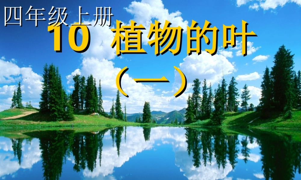 青岛小学科学四上《3 植物的叶》PPT课件 (2)【加微信公众号 jiaoxuewuyou 九折优惠 qq 1119139686】.ppt