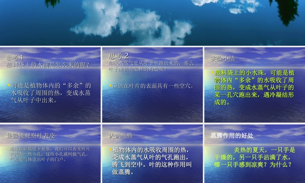 青岛小学科学四上《3 植物的叶》PPT课件 (2)【加微信公众号 jiaoxuewuyou 九折优惠 qq 1119139686】.ppt