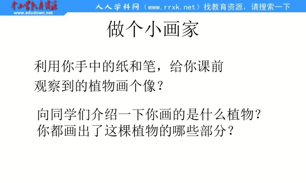 青岛小学科学四上《1 植物的身体》PPT课件 (4)【加微信公众号 jiaoxuewuyou 九折优惠 qq 1119139686】.ppt