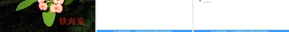 青岛小学科学四上《1 植物的身体》PPT课件 (4)【加微信公众号 jiaoxuewuyou 九折优惠 qq 1119139686】.ppt