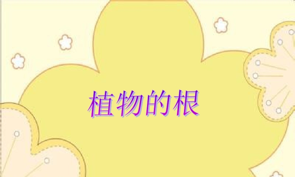 青岛小学科学四上《2 植物的根》PPT课件 (2)【加微信公众号 jiaoxuewuyou 九折优惠 qq 1119139686】.ppt