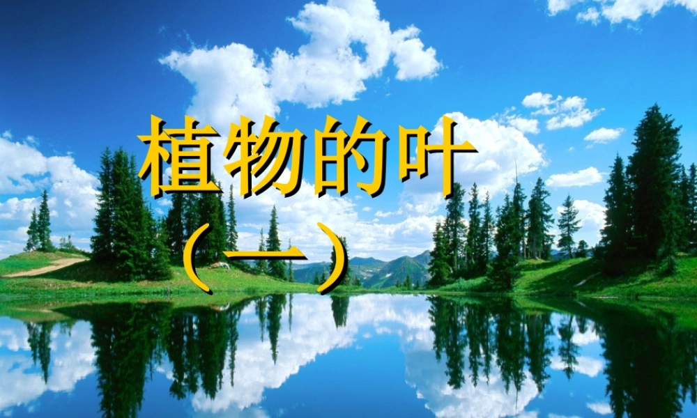 青岛小学科学四上《3 植物的叶》PPT课件 (3)【加微信公众号 jiaoxuewuyou 九折优惠 qq 1119139686】.ppt