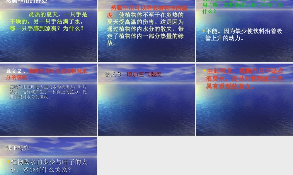 青岛小学科学四上《3 植物的叶》PPT课件 (3)【加微信公众号 jiaoxuewuyou 九折优惠 qq 1119139686】.ppt