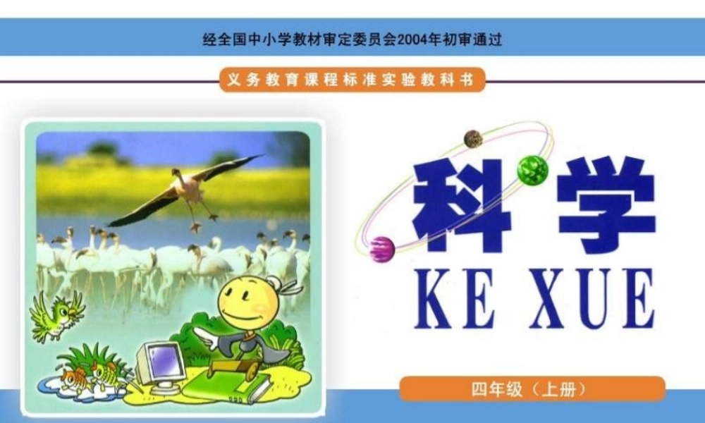 青岛小学科学四上《1 植物的身体》PPT课件 (6)【加微信公众号 jiaoxuewuyou 九折优惠 qq 1119139686】.ppt