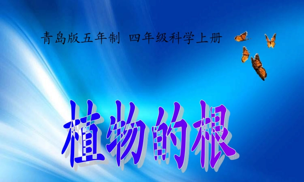 青岛小学科学四上《2 植物的根》PPT课件 (4)【加微信公众号 jiaoxuewuyou 九折优惠 qq 1119139686】.ppt