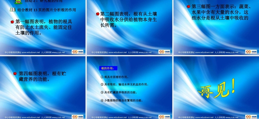 青岛小学科学四上《2 植物的根》PPT课件 (4)【加微信公众号 jiaoxuewuyou 九折优惠 qq 1119139686】.ppt